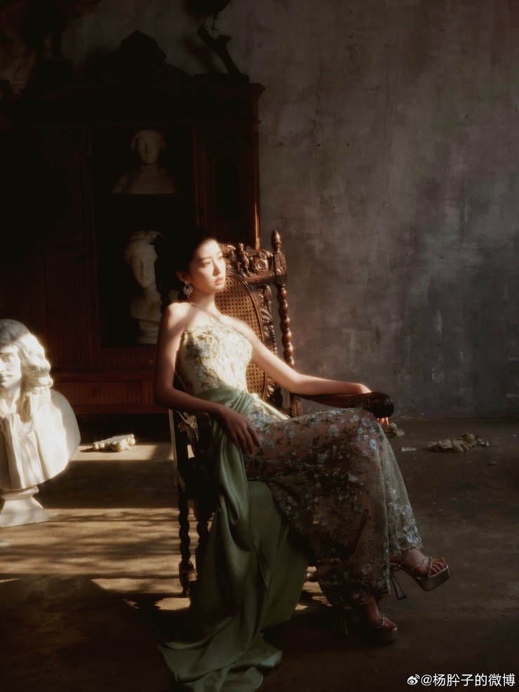 Yang Xi Zi