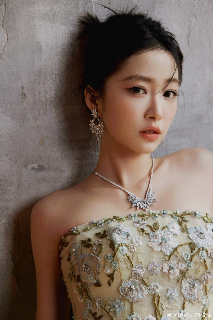 Yang Xi Zi