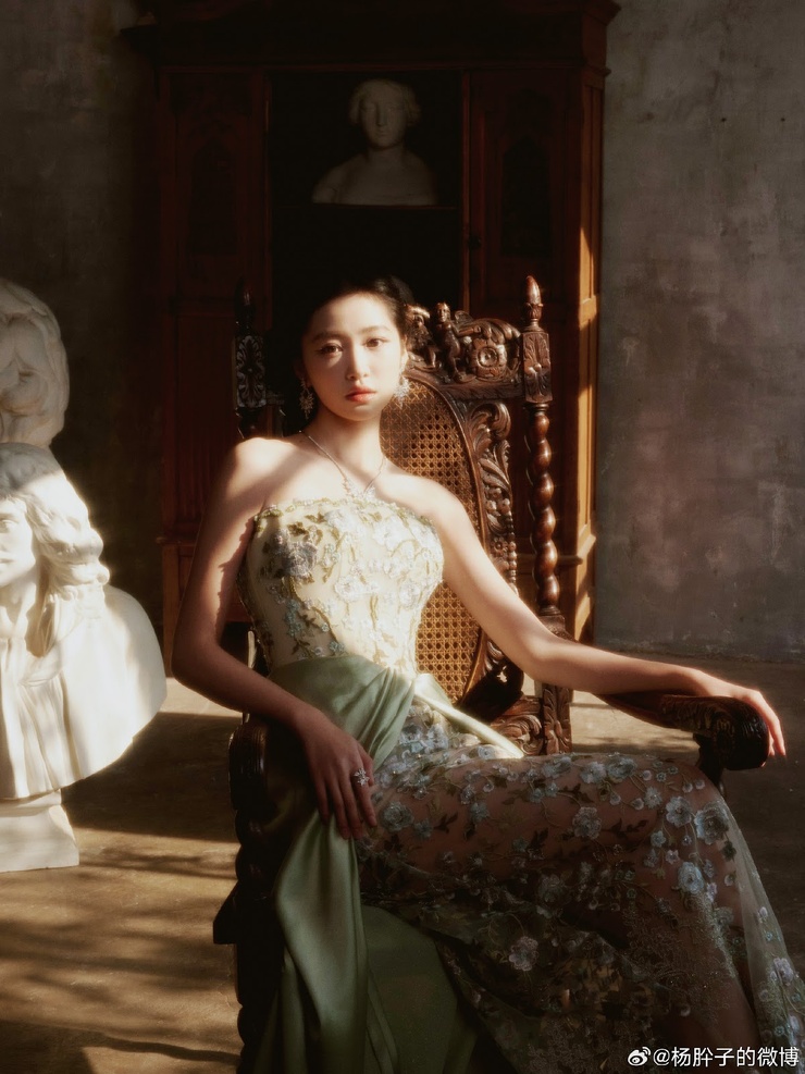 Yang Xi Zi