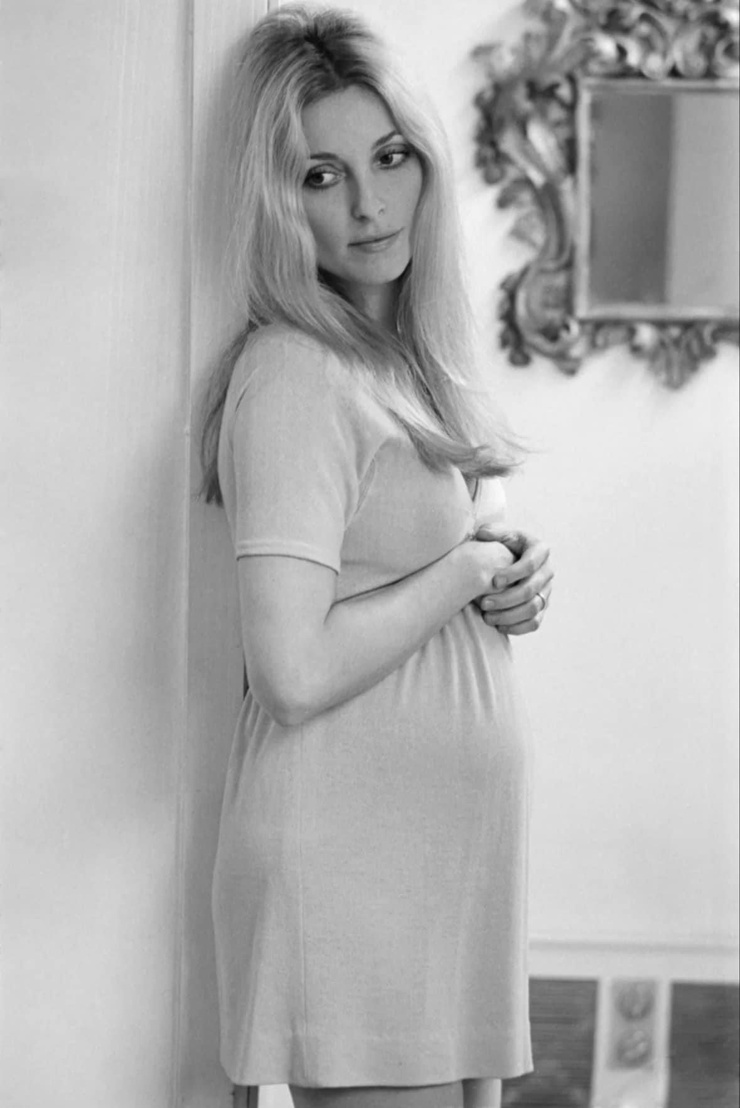 Sharon Tate picture