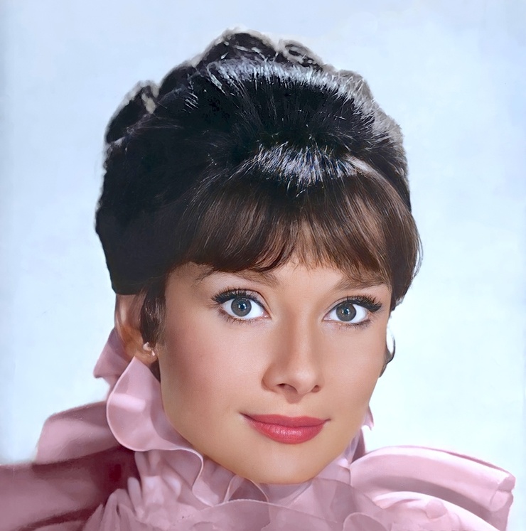 Audrey Hepburn Audrey Hepburn