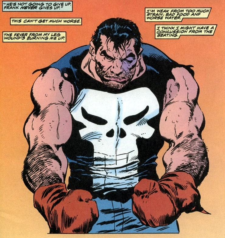 The Punisher: War Zone #27