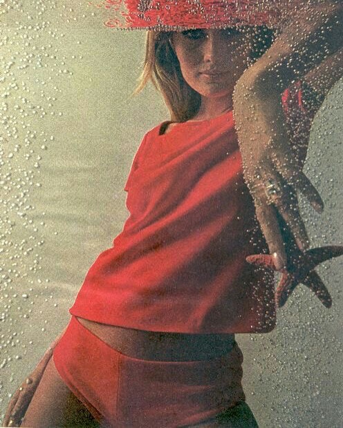 Cathie Shirriff