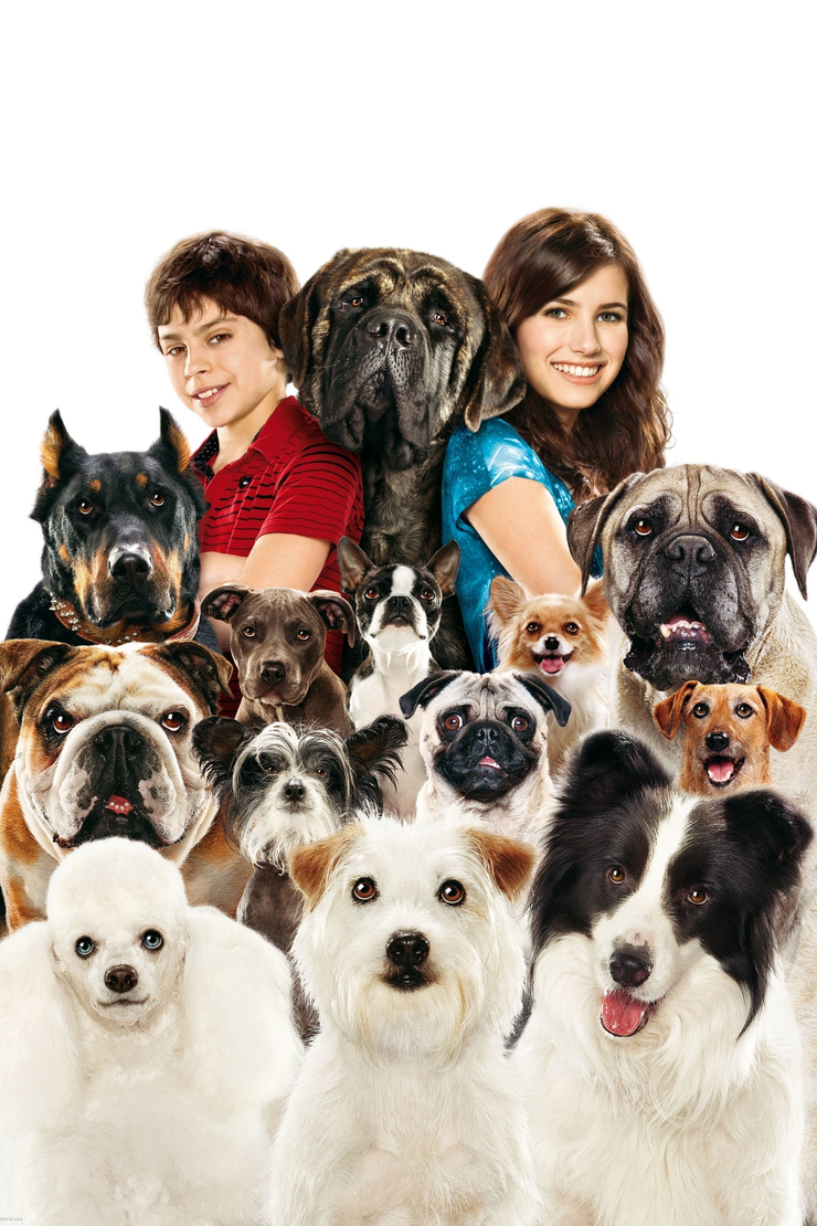 Hotel For Dogs