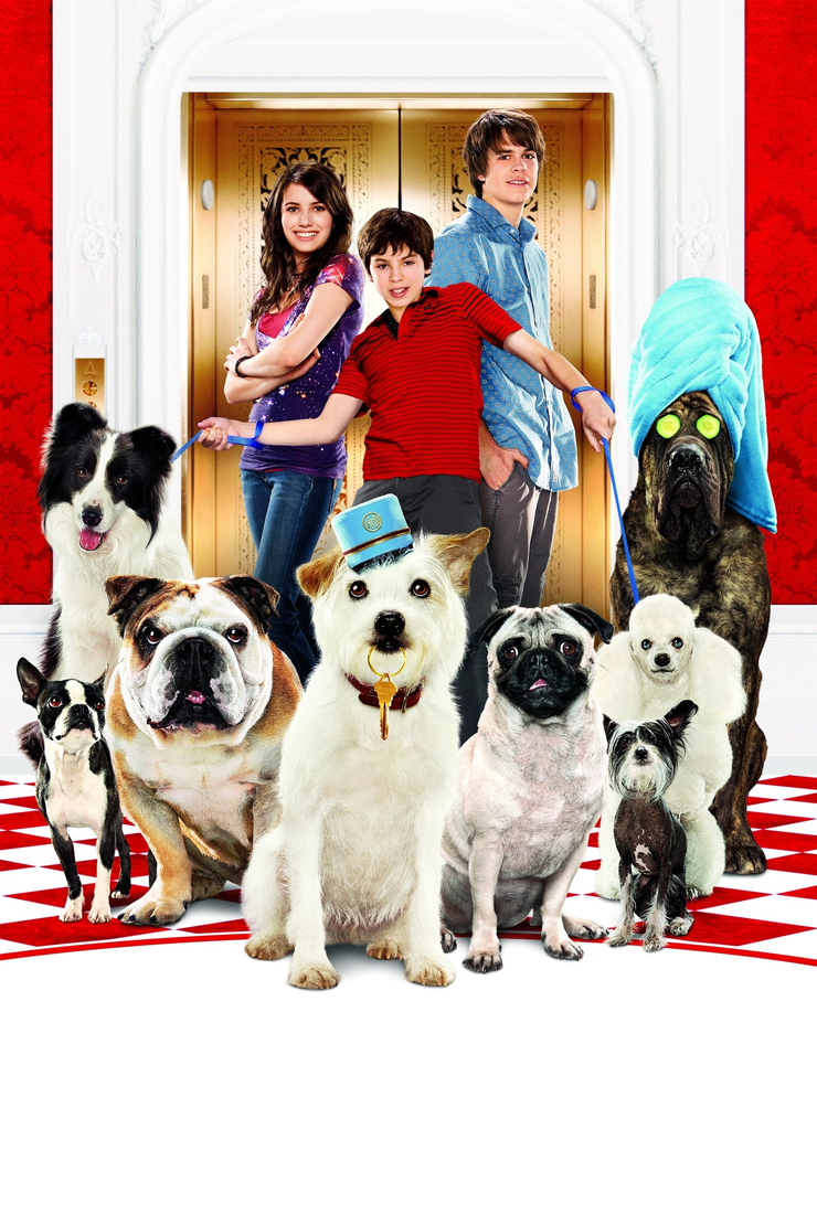 Hotel For Dogs
