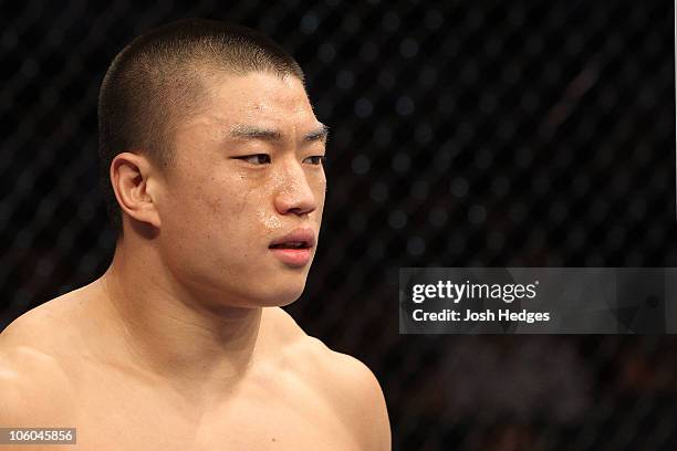 Dongi Yang