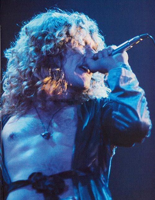 Robert Plant