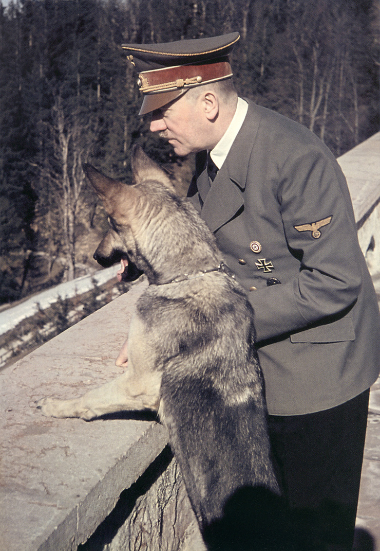 Adolf Hitler Adolf Hitler