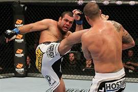 Gabriel Gonzaga