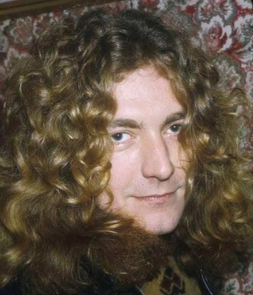 Robert Plant picture