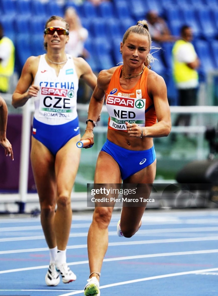 Anne van de Wiel