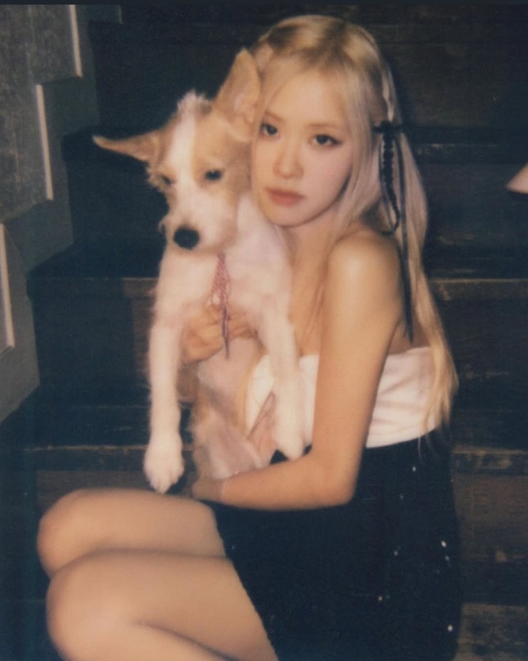 Roseanne Park