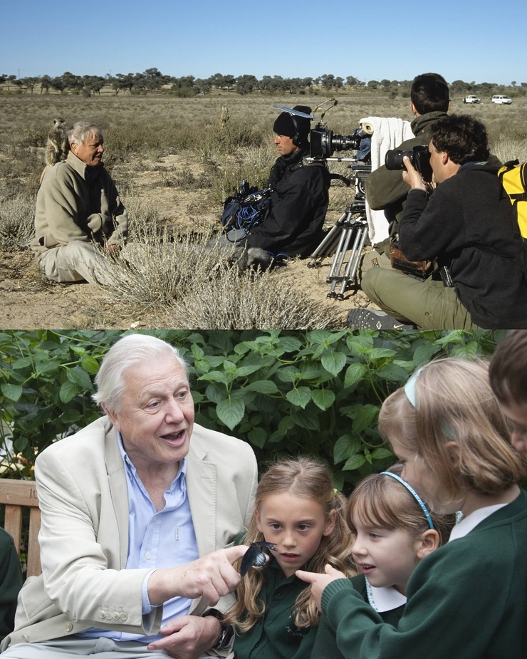 David Attenborough Viert The Rise of Citizen Science and Interactive Media