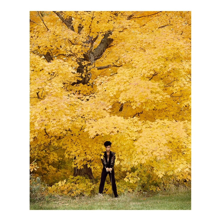 Prince