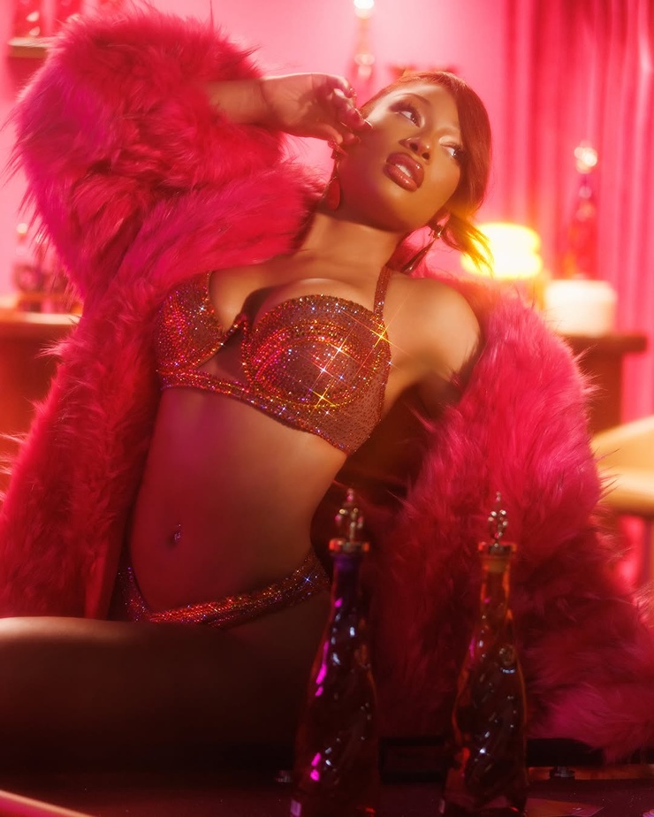 Megan Thee Stallion Megan Thee Stallion