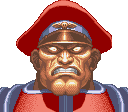 M. Bison