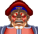 M. Bison