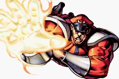M. Bison