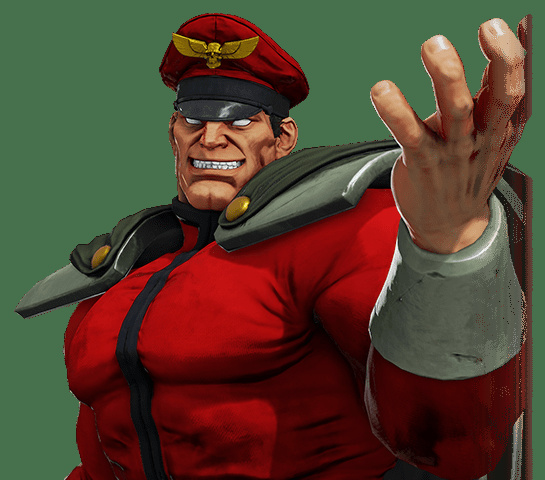 M. Bison