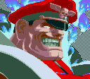 M. Bison