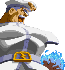 M. Bison