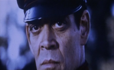 M. Bison