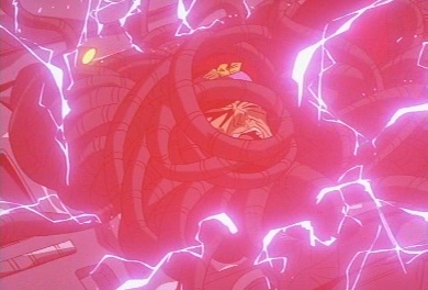 M. Bison