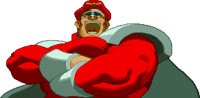 M. Bison