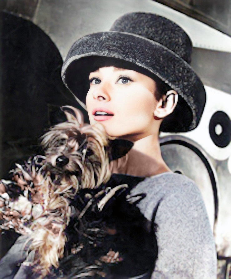 Audrey Hepburn Audrey Hepburn