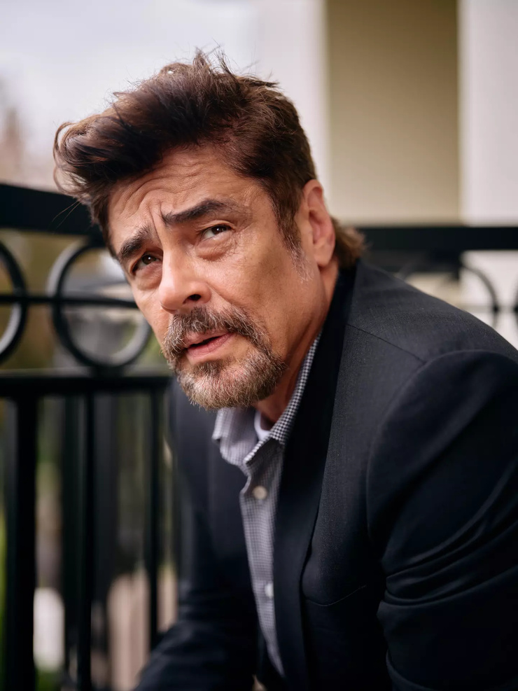 Benicio Del Toro