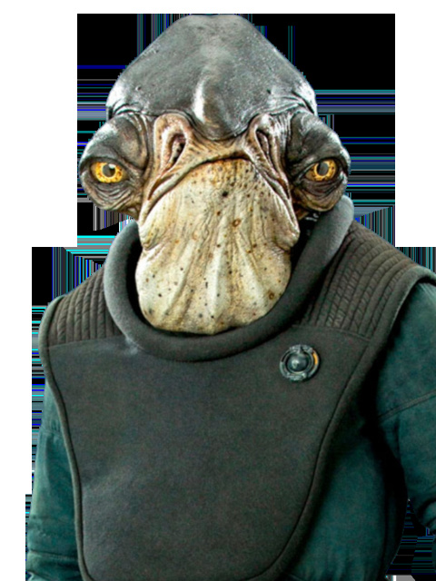 Raddus
