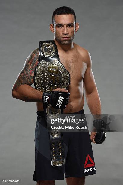 Fabricio Werdum