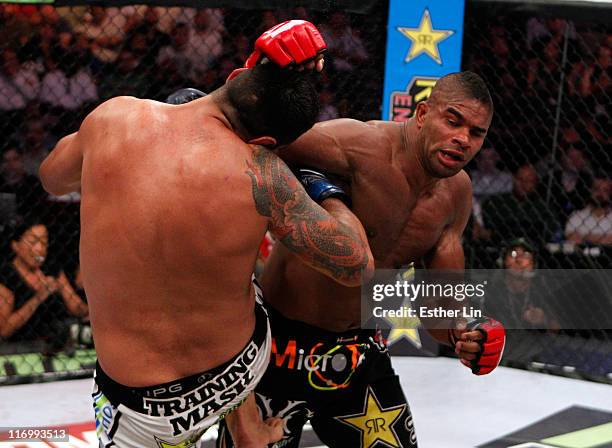 Fabricio Werdum
