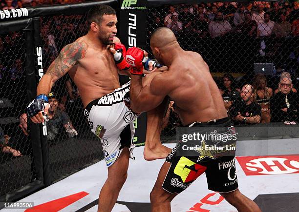Fabricio Werdum