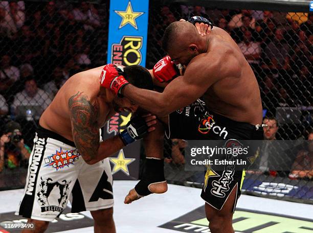 Fabricio Werdum