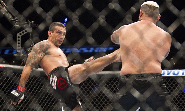 Fabricio Werdum