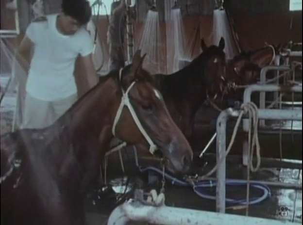 Song of the Horse (1970)