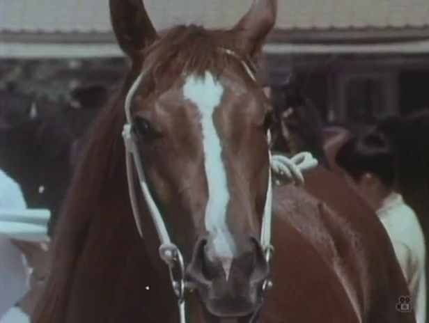 Song of the Horse (1970)