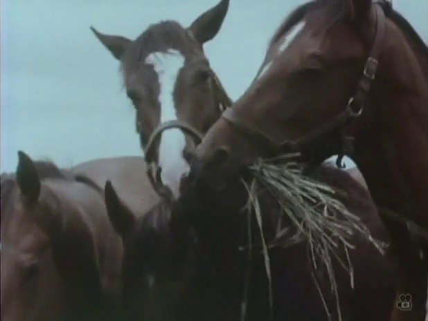 Song of the Horse (1970)