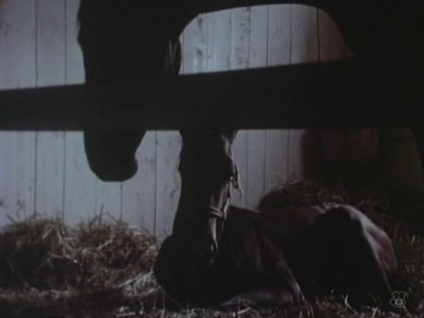 Song of the Horse (1970)