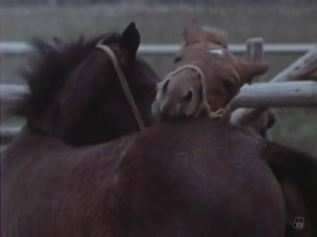 Song of the Horse (1970)