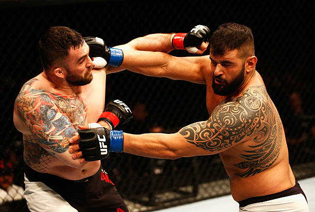 Daniel Omielanczuk