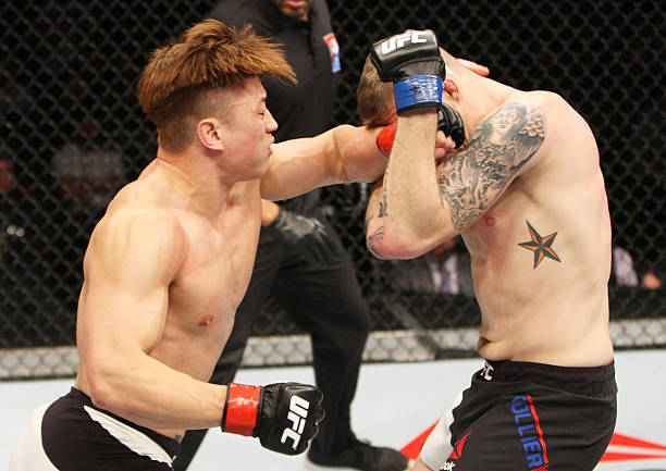 Dongi Yang
