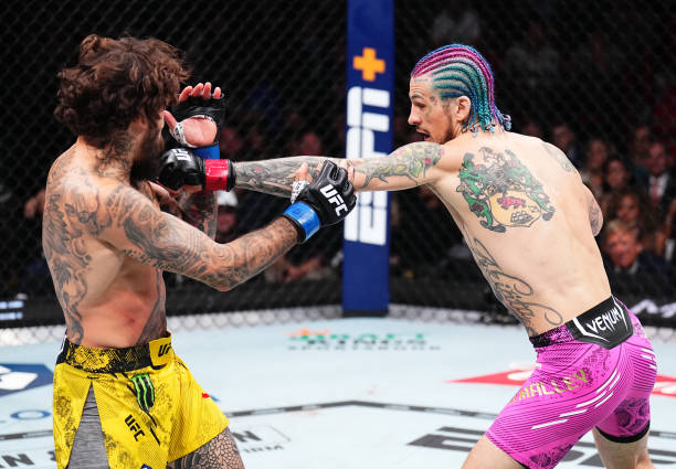 Marlon Vera