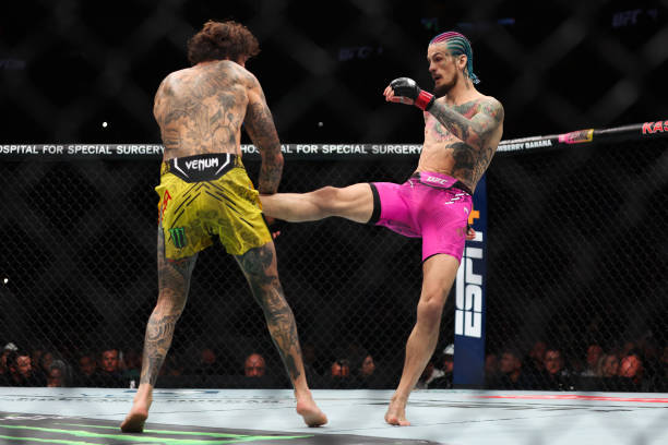 Marlon Vera