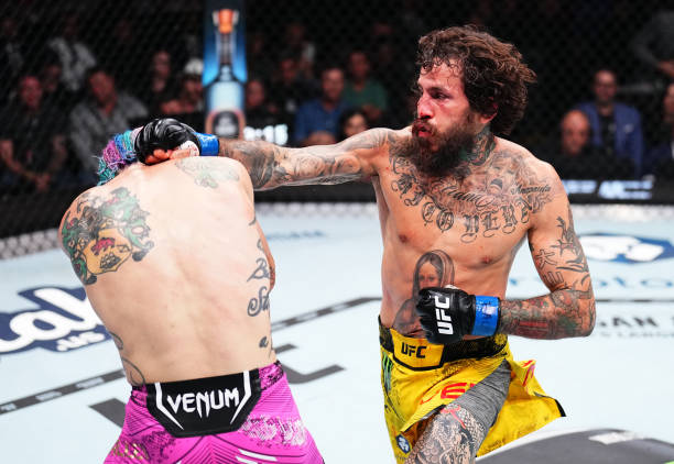 Marlon Vera