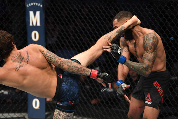 Marlon Vera