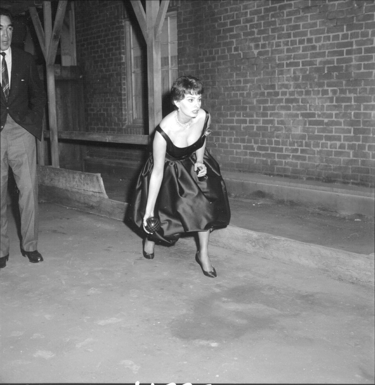 Sophia Loren Sophia Loren