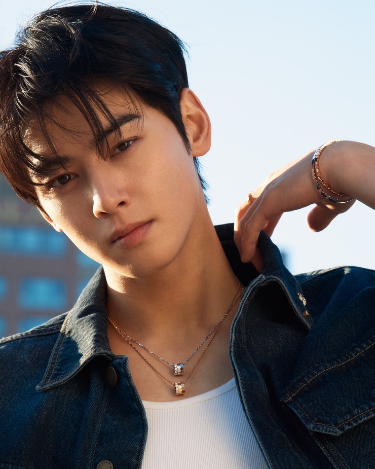 Eun-Woo Cha