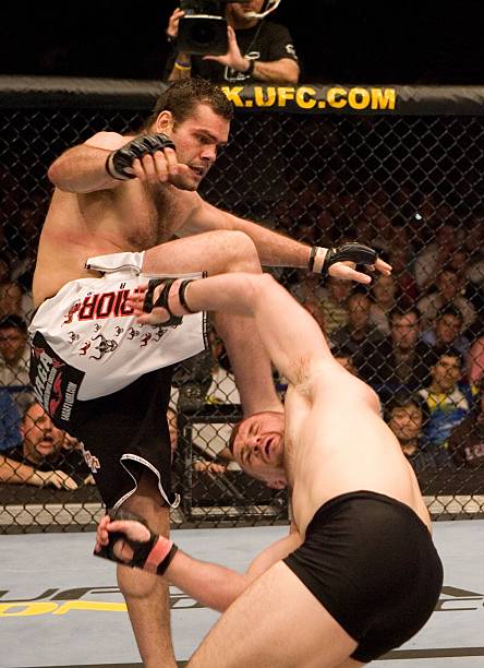 Gabriel Gonzaga